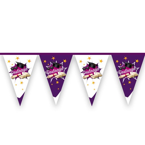 Vlaggenlijn PE Geslaagd (paars) 12130
