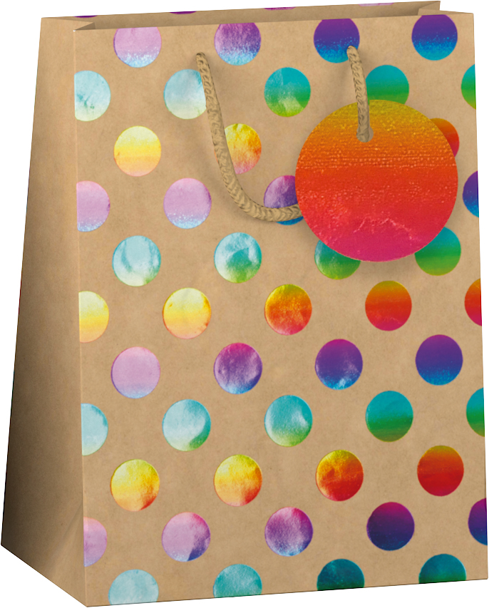 Papieren cadeau tas M Kraft Rainbow