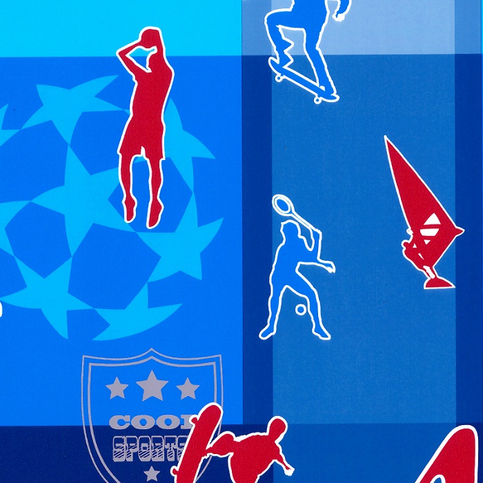 Dessin 801 30cm x 200m