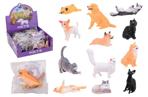 36 animal world huisdieren in disp.26870