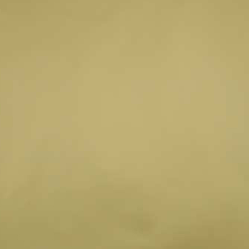 200 cadeauzakjes goud 12x19 cm. 575