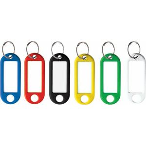 100 Sleutellabels 6 ass. in doos.AC-E106